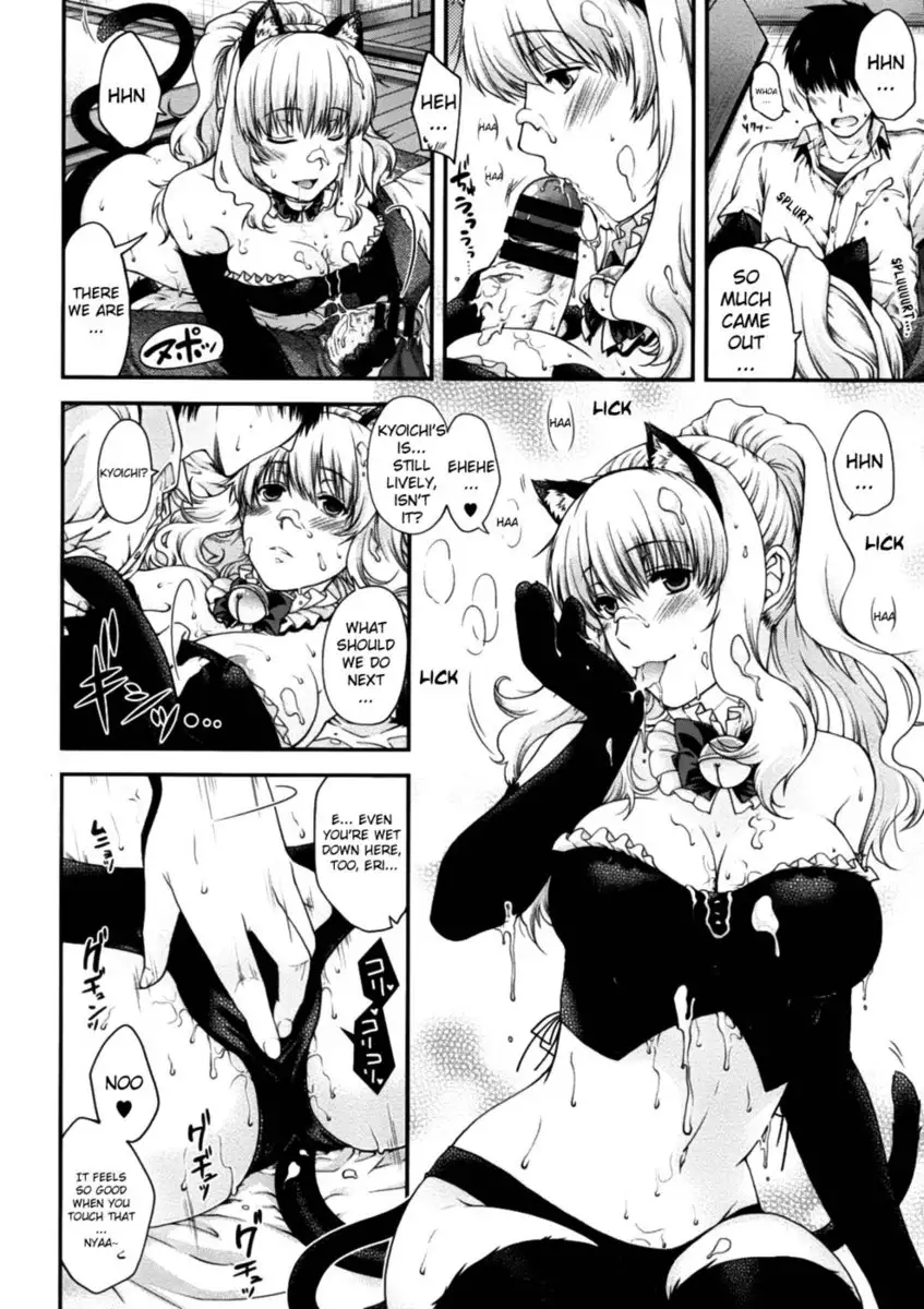 The Equation of the Cat and Me