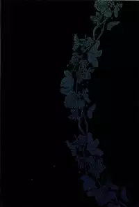 (SPARK12) [sainome (Sunako)] Hariko no Tora no Aishikata | How to Love a Papier Mache Tiger (Boku no Hero Academia) [English] [hopeless408]