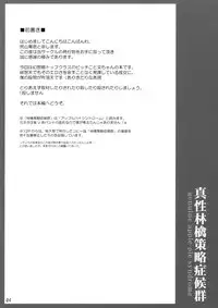 (C74) [ZERO-ONE (Arayama Reiichi)] Shinsei Ringo Sakuryaku Shoukougun (Touhou Project)