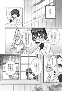 (C92) [Tendoushi (Fukuroumori)] Daisuki ni Kimatteru!! (Kemono Friends)