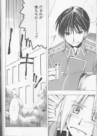 [milano (Shimotsuki Sakuya)] Beauty and The beast -mirror in world- (Fullmetal Alchemist)