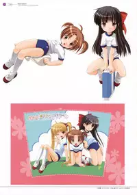 Azuma Yuki - four colors (Complete Ver.)