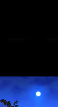 [Mojo] My Wives Ch.1-37 (English) (Ongoing)