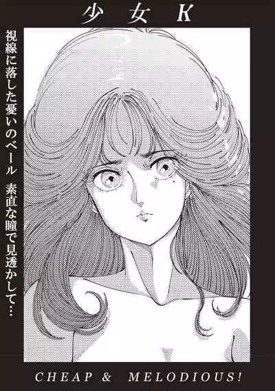 Himitsu no Shoujo Seiheki