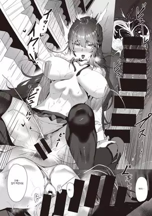 Cosmos - Like a Flower