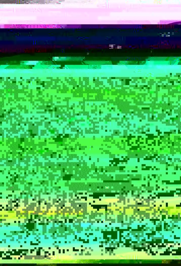 生モミ生モメ生ママモ