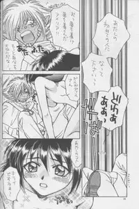 (C51) [Pinky Heaven (Hinoki)] W-Mix (Slayers)