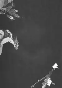 江戸昭和競作 - Bloody Ukiyo-e in 1866 & 1988