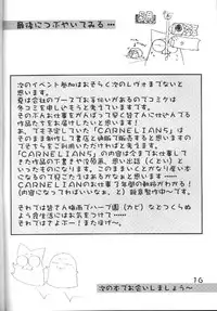 (CR29) [CARNELIAN (CARNELIAN, Drain Cherry)] Benigyokuzui Sono Go (AIR)