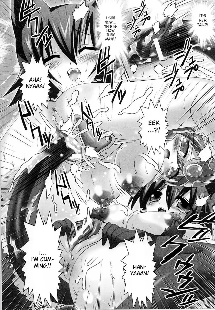 The Female Fighter's Sexual Desire