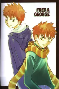 [Haribote (Ren Hotaka)] Dounimo Tomaranai (Harry Potter)