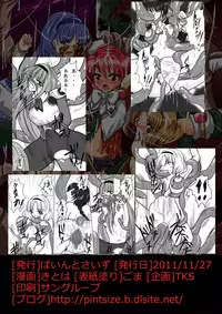 [pintsize] Erotic Tentacles & Cunts ~Mahou Kishi (Magic Knight) to Kanran Shokushu~ (Magic Knight Rayearth) [Digital]