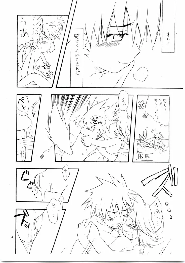 Kokusan Mutenka Netsurokubon