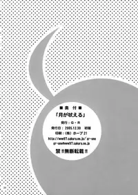 (C69) [G-R (Akiyama Kenta)] Tsuki ga Hoeru | The Moon Barks (Gundam Seed Destiny) [English] {SaHa}