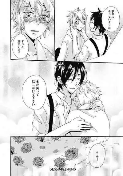 Bishonure Hatsutaiken