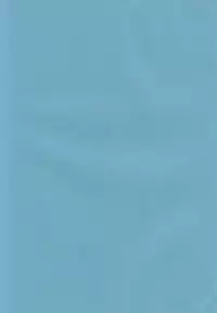 (C88) [Nagiyamasugi (Nagiyama)] Hifuu Ryoujoku 4 Renko Okusuri Jikken (Touhou Project) [Chinese] [CE家族社]