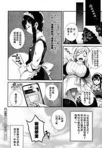 [Shindou] Ojou-sama to Maid no Midara na Seikatsu Ch. 1-4, 7-11 [Chinese] [无毒汉化组]