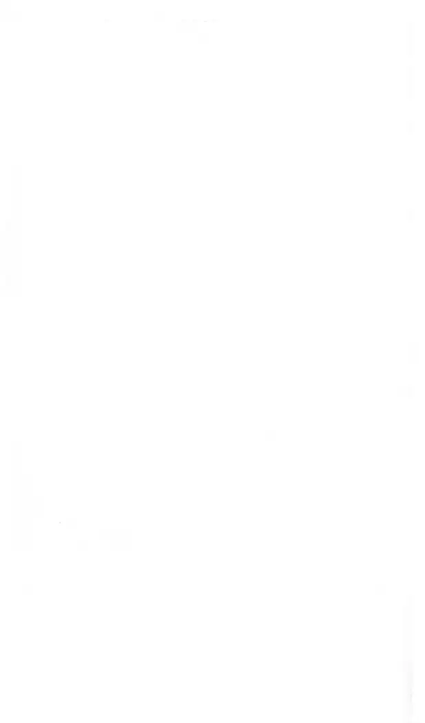 FORTUNE ARTERIAL かなで編