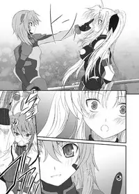 [DIEPPE FACTORY Darkside (Alpine)] FATE FIRE WITH FIRE Book. I (Mahou Shoujo Lyrical Nanoha) [Digital]