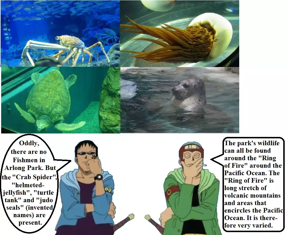 Expedition One Piece English