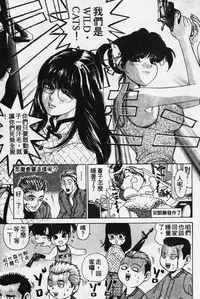 [Kobayashi Takumi] Wild Cats | 性感小野貓 [Chinese] [Incomplete]