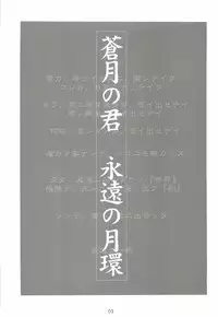 (CR33) [Dennou Denpa Hatsureisho (Harukaze Koucha)] Sougetsu no Kimi Eien no Getsukan (Tsukihime)