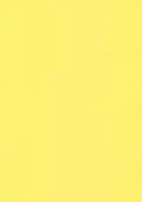 (C77) [Fujiiro Sabou (Fujii Jun)] THE SUN AND THE MOON (Touhou Project) [English] [U MAD]