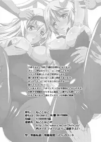 [Neko to Hato (Hatoya Mameshichi)] IS Gakuen Kounin!? Usagi Kari no Yoru (IS <Infinite Stratos>) [Digital]