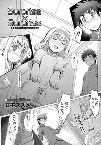 Comic Megastore H 2008-01