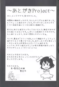 (Touhou Suukei Sai) [Shin Hijiridou Honpo (Hijiri Tsukasa)] Usagi no Miru Yume (Touhou Project) [English] [CGrascal]
