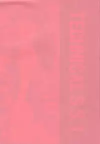 [System Speculation] Technical S.S.1 - 2nd Impression (Evangelion) [ENG]