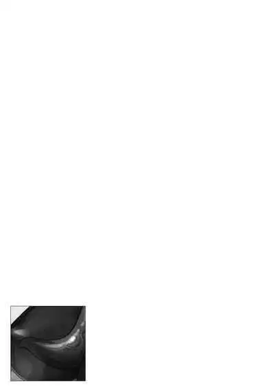 Henshin Bishoujo Dai Pinch, Akuochi Zecchou Anthology Comic 2