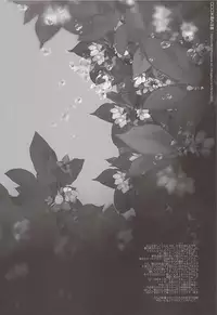 (SUPER23) [Akoyagai to Aumale Ebi (Ooki Bonta)] Mizunure Chuui! | Be Careful Not To Get Wet! (Haikyuu!!) [English] [HQ!! Scans]