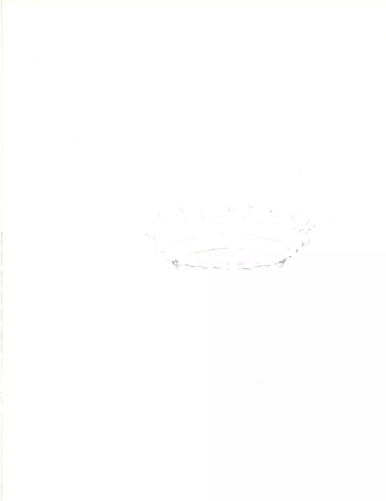 Milk Book Collections 1986-1990