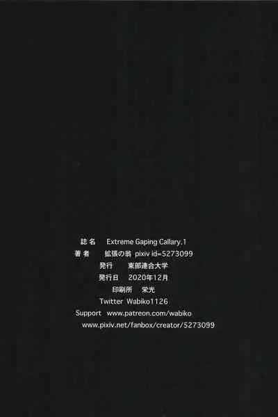 Extreme Gaping Gallary.1