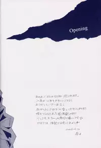 [Devil May Cry] Fragment (VergilxDante)