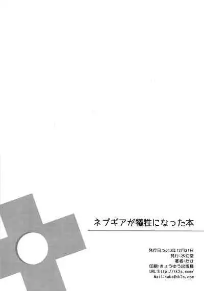 (C85) [Suigendo (Taka)] Nepgear ga Gisei ni Natta Hon (Hyperdimension Neptunia) [English] [tabibit0]