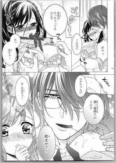 Onii-chan dakedo Ecchi ga Shitai