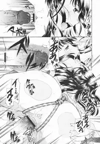 COMIC Megastore 2009-07