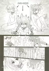 (C73) [PLUM (Kanna)] Mahou Shoujo Magical SEED Soushuuhen X (Mahou Shoujo Lyrical Nanoha)