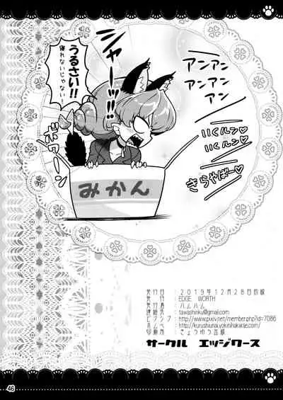 (C97) [EDGE WORTH (Hamuhamu)] Kurukuru Twinkle Star 3 (Star Twinkle PreCure)