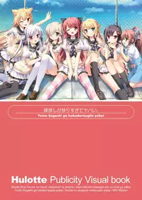 Hulotte Publicity Visual book