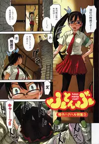 COMIC Shitsurakuten 2007-09