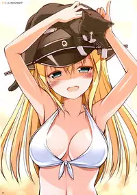 (C87) [Digital Flyer (Oota Yuuichi)] BisColle -Bismarck Collection 2014- (Kantai Collection -KanColle-) [Chinese] [文文+叢雲阻力小漢化]