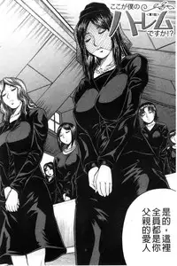 [Jamming] Boku Gentei Bakunyuu Harem [Chinese]