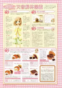 Canvas Visual Fan Book