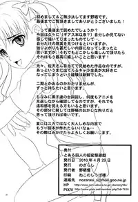 (COMIC1☆4) [Nozarashi (Nozarashi Satoru)] Toaru Yonin no Abnormal Play (Toaru Kagaku no Railgun)
