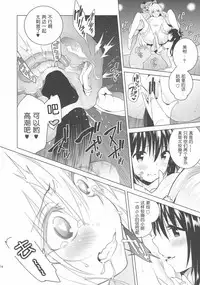 (C90) [sin-maniax (Todoroki Shin)] harem end (To LOVE-Ru) [Chinese] [靴下汉化组]