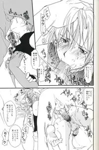 [Maki Murakami] Gamerz Heaven Director's Cut Volumes