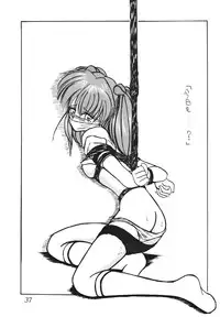 (CR36) [Thirty Saver Street 2D Shooting (Maki Hideto, Sawara Kazumitsu)] Second Hobaku Project (Neon Genesis Evangelion) [Digital]